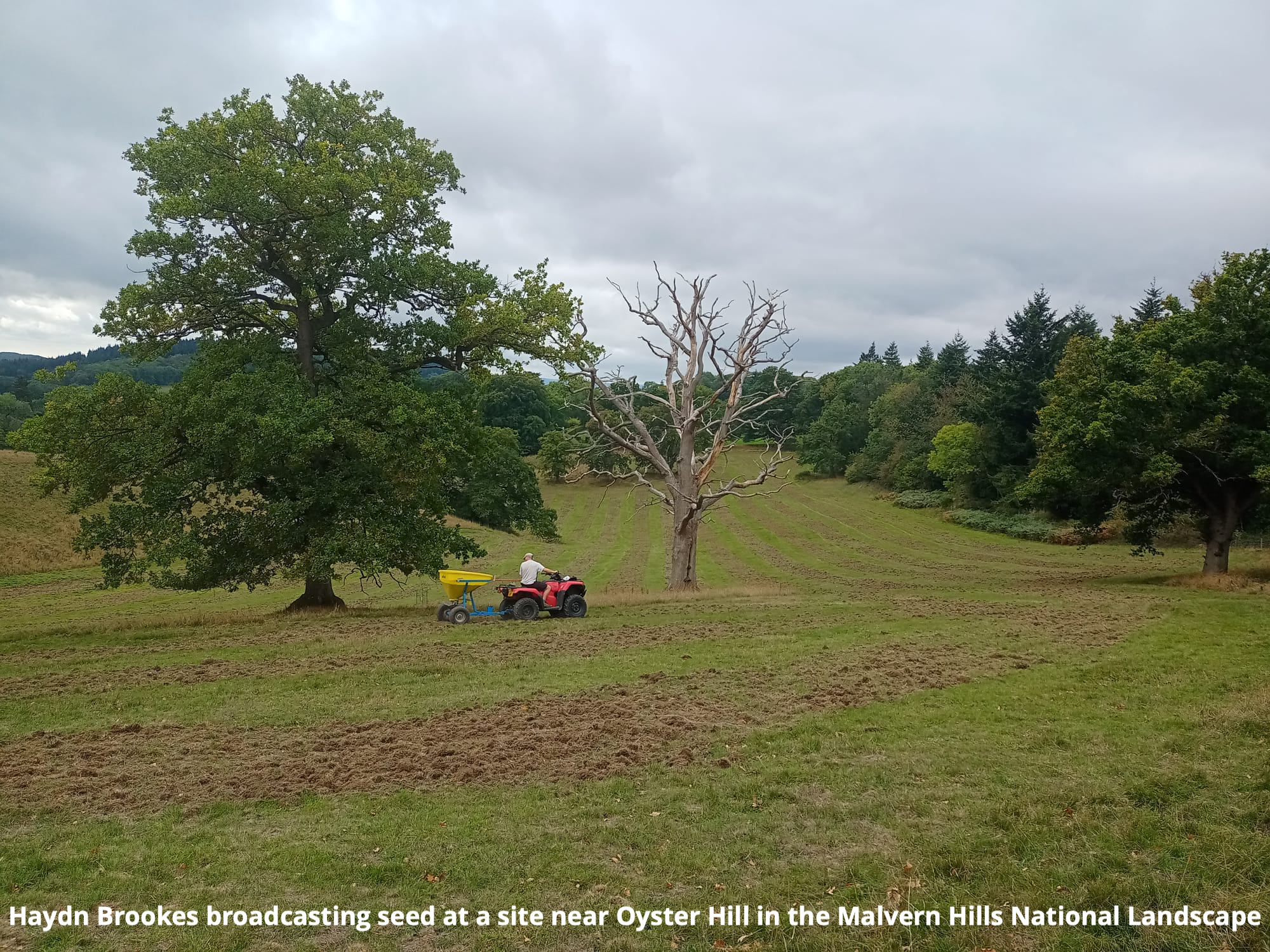 Haydn Brookes broadcasting seed at a site near Oyster Hill in the Malvern Hills National Landscape 